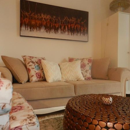 Klassik&sunny Apartment! Wina Bagian luar foto